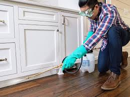 Best Pest Prevention Services  in Carey, OH