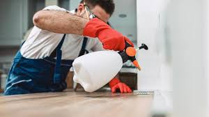 Best Residential Pest Control  in Carey, OH